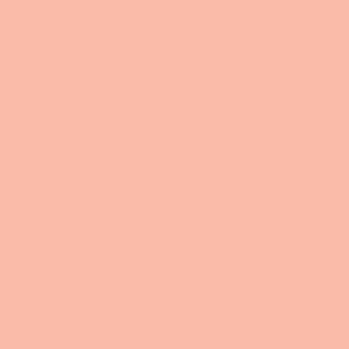 PURE Solid - Popsicle