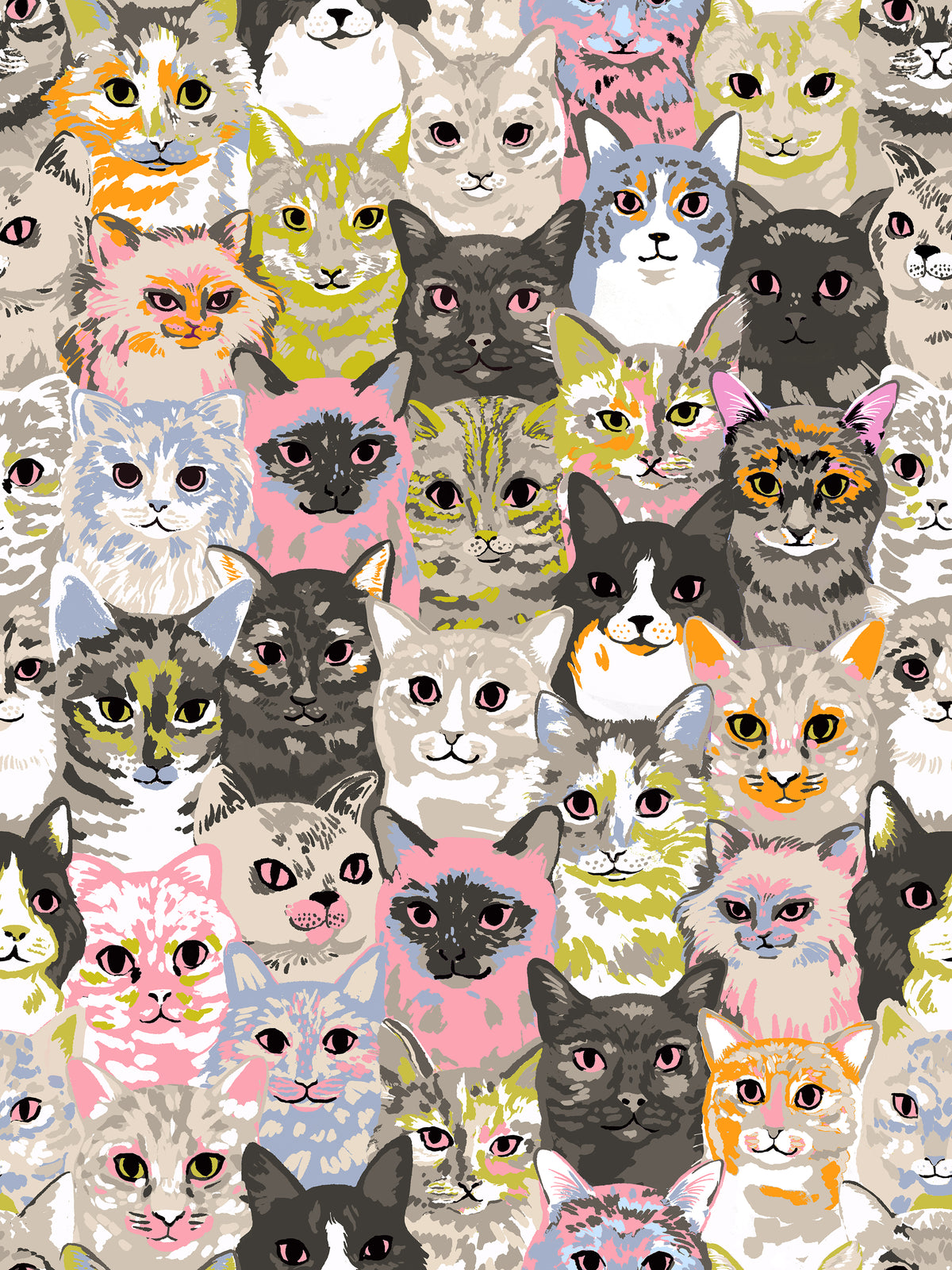 108" Hundreds of Cats - Sandbox WIDEBACK - PREORDER