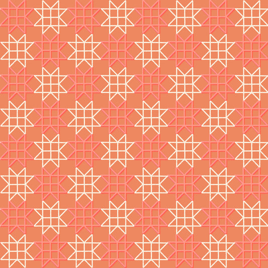 Paper Star - Canyon